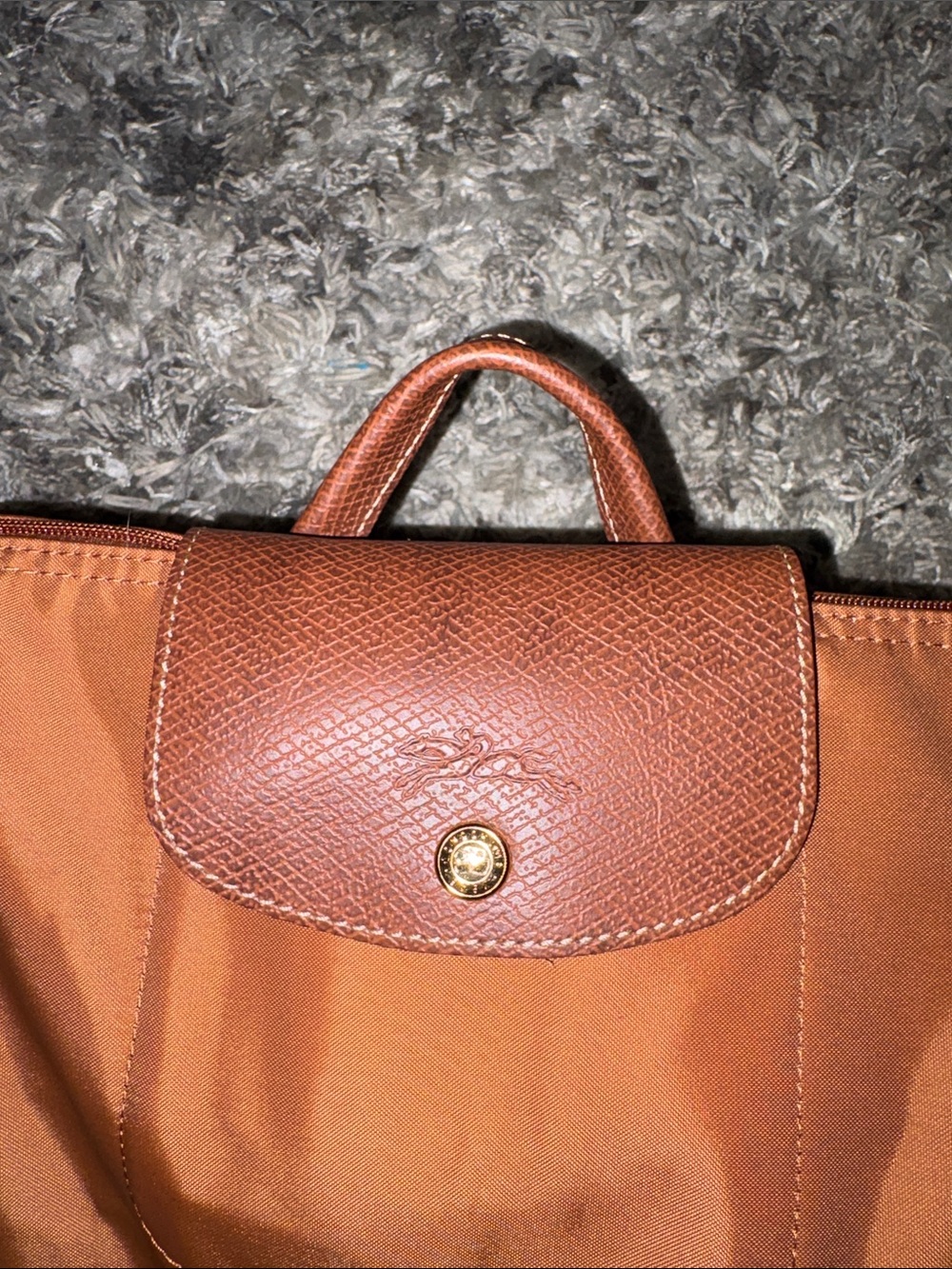 Longchamp backpack - Picture 9 of 14